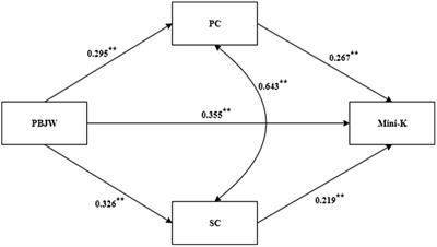 The Mediating Role of Chinese College Students’ Control Strategies: Belief in a Just World and Life History Strategy